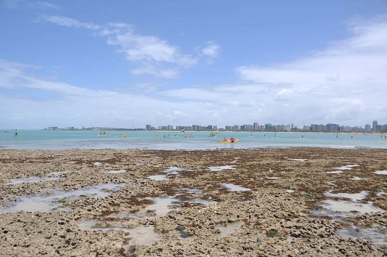 A praia de Ponta Verde na maré baixa, com o recife de pedra exposto e poças, o mar verde-claro e a fileira de prédios da orla ao fundo.