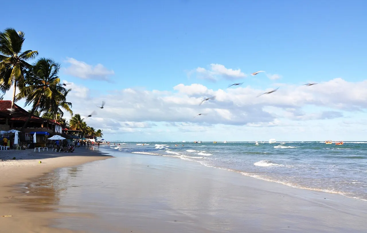 A Praia do Francês com a areia molhada refletindo o céu, ondas pequenas, aves no ar e barracas sob os coqueiros à esquerda.