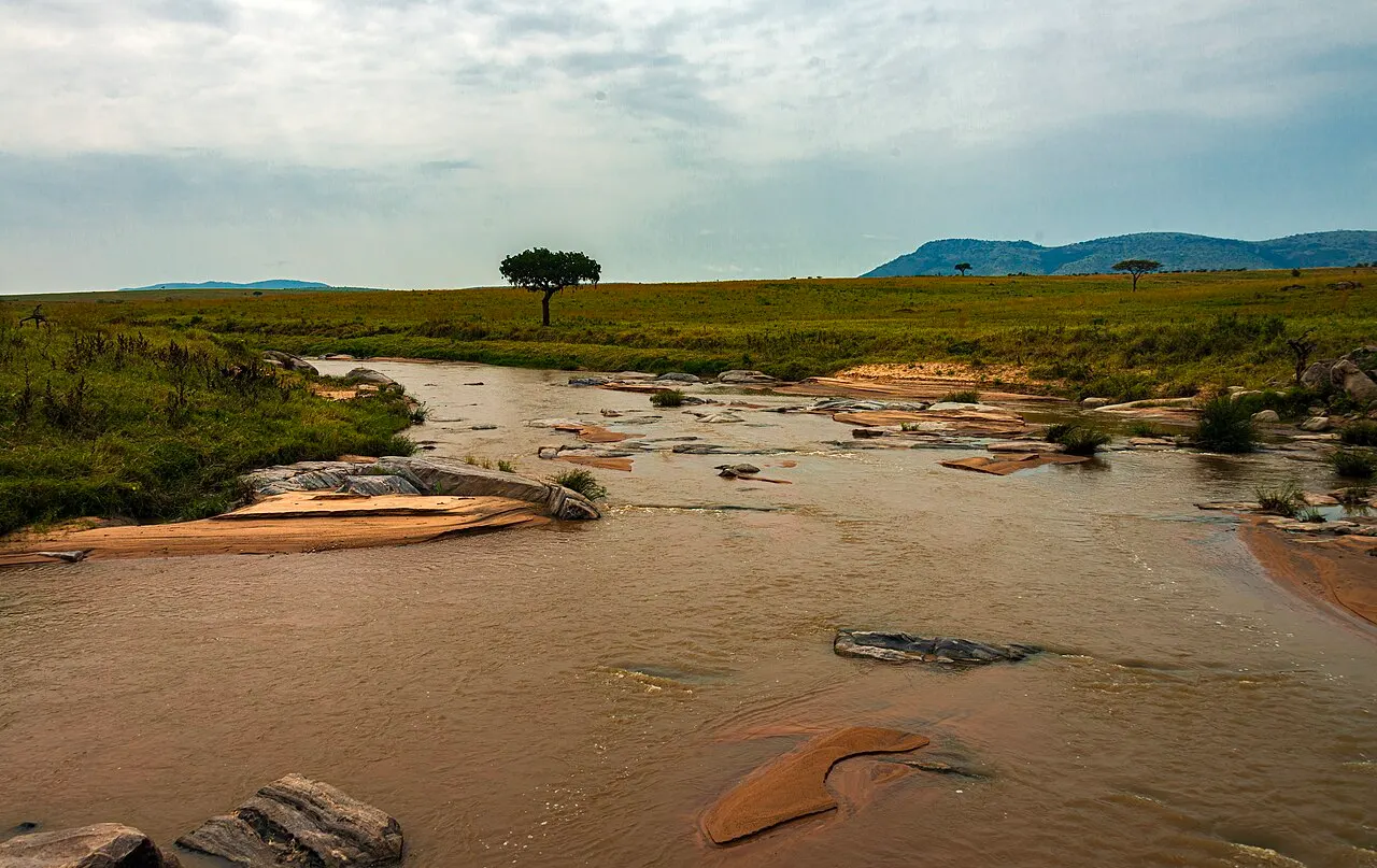 O Sand River corre raso e barrento entre bancos de areia e pedras, com margens de capim verde, uma acácia isolada e morros azulados no horizonte.