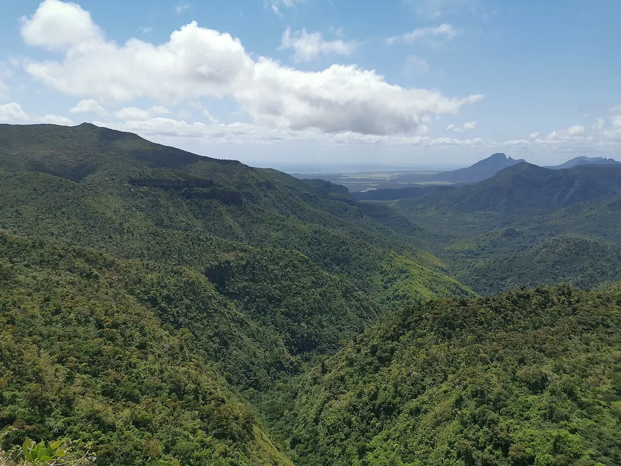 Os vales e encostas cobertos de mata nativa do Black River Gorges, com morros em sequência até o horizonte e nuvens no céu.