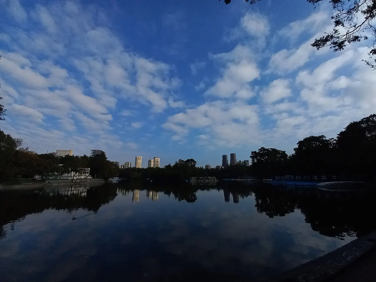 Lago de Chapultepec liso ao fim da tarde, refletindo um céu azul com nuvens em fileira, com a massa escura das árvores do bosque na margem e algumas torres claras do Reforma ao fundo.