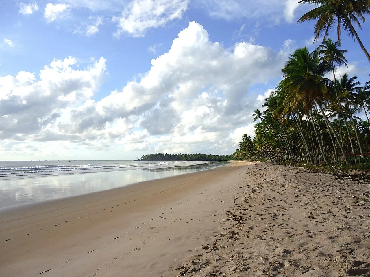 A Praia da Cueira, em Boipeba, com a areia clara, o mar raso e a fileira de coqueiros inclinados sobre a praia.