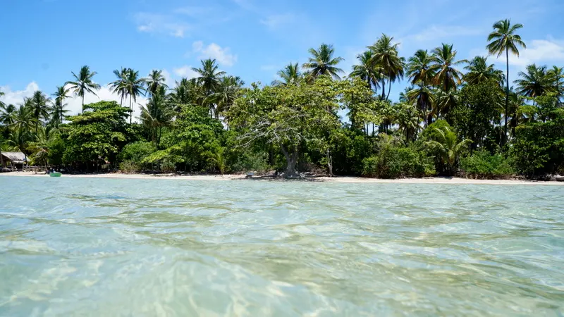 A água rasa e transparente de Moreré, em Boipeba, com a linha de coqueiros na margem ao fundo.