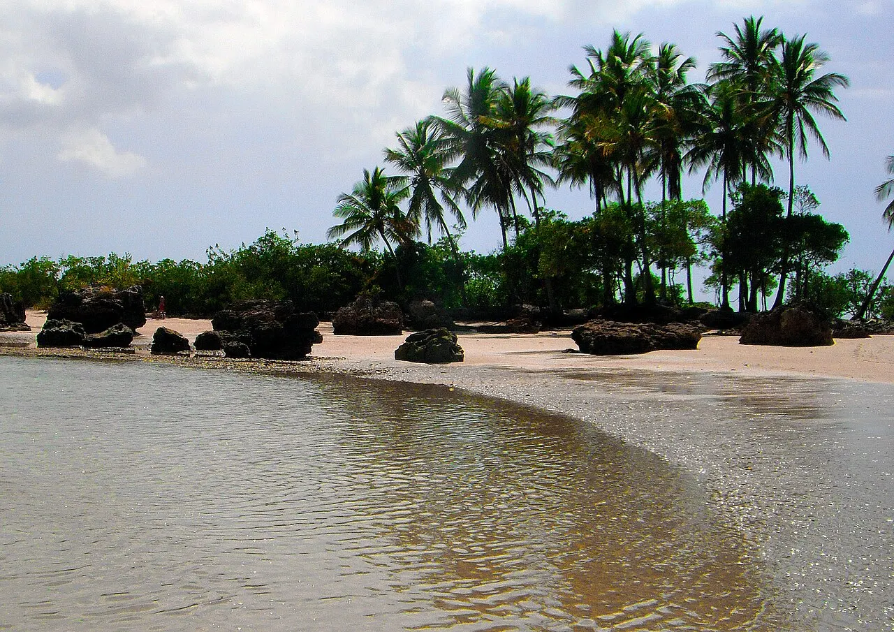A areia molhada da Segunda Praia com uma fileira de coqueiros e pedras escuras ao fundo, sob céu claro.