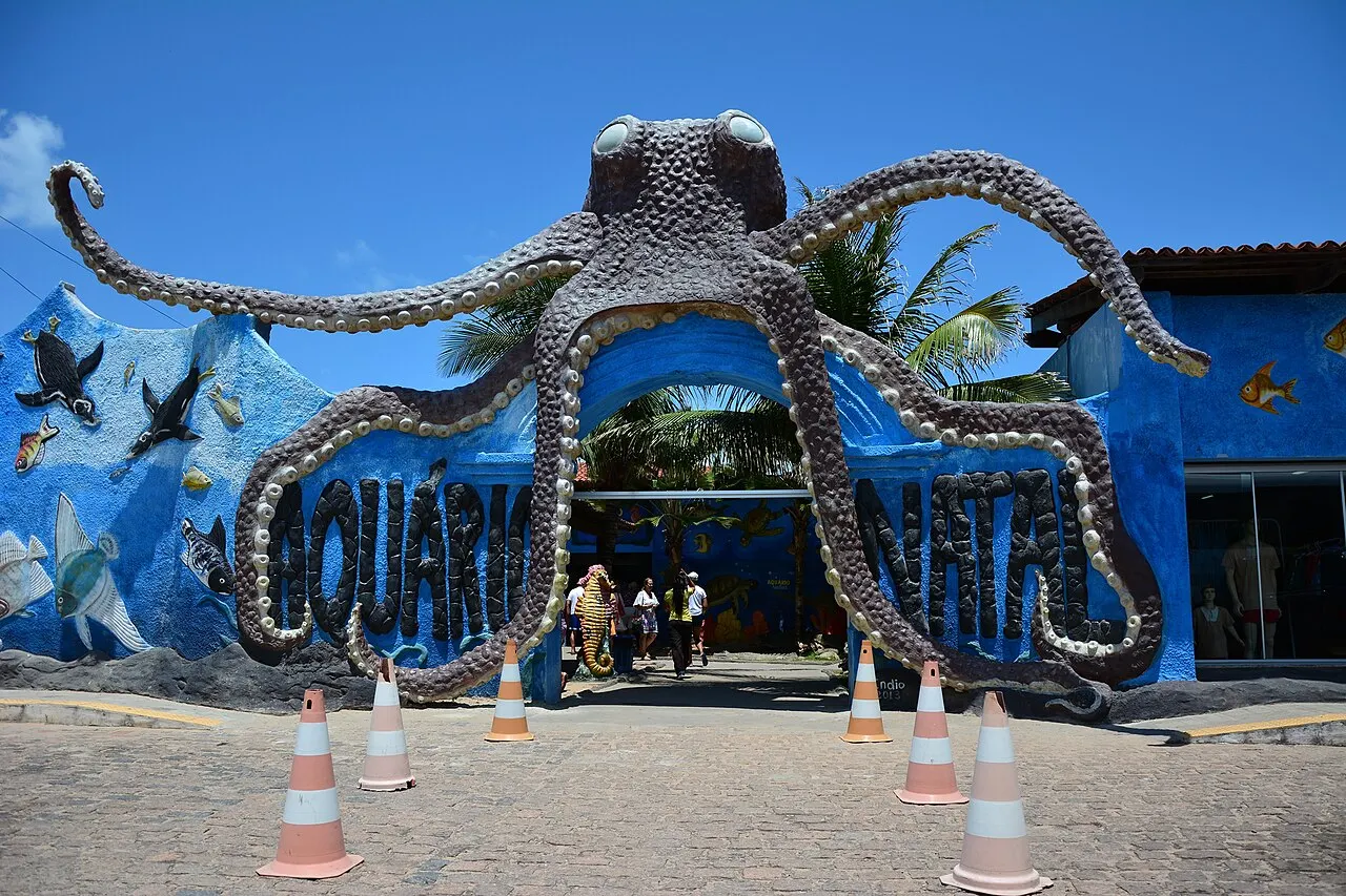 A entrada do Aquário Natal, com um polvo gigante de escultura abraçando o letreiro azul sobre o portão.