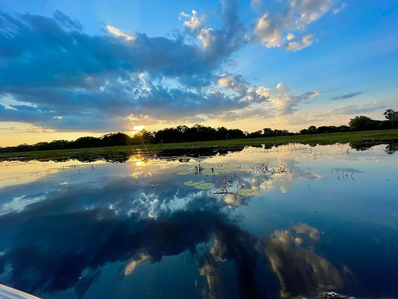Calm river water reflecting clouds and the evening sky, with water-lily leaves on the surface and a band of dark trees on the horizon.