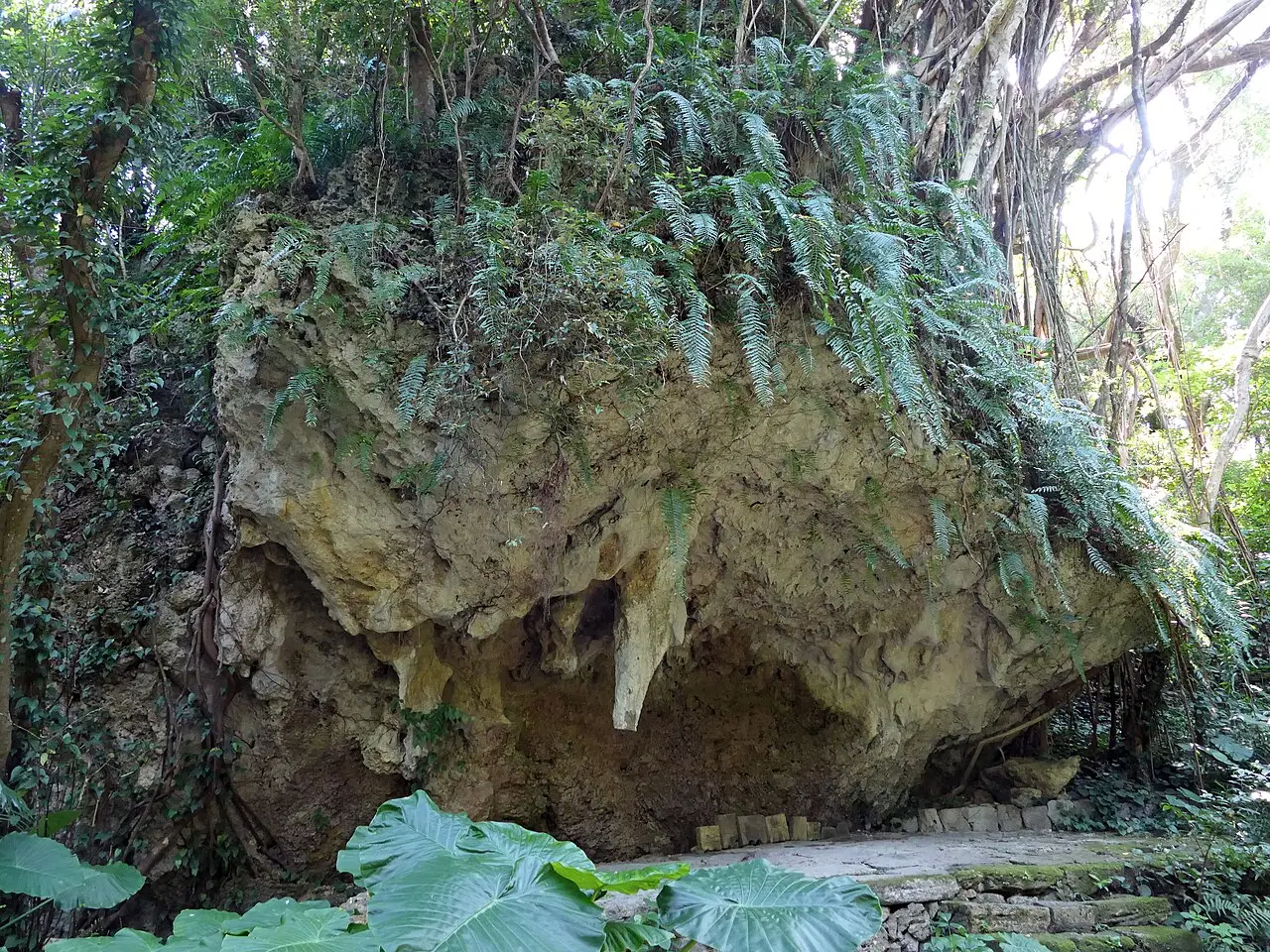 A large limestone block with stalactites at its base and ferns on top, surrounded by forest, at one of the natural altars of Sefa Utaki.