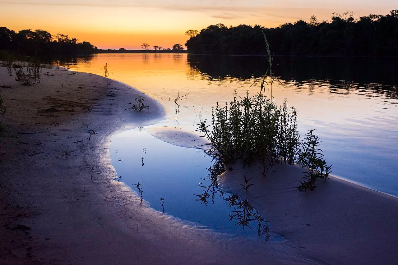 O rio em Porto Jofre ao pôr do sol, com um banco de areia em curva, uma moita na água e a mata escura na outra margem.