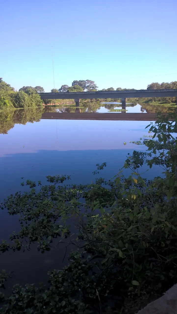 Uma das pontes da Transpantaneira atravessando um alagado, com a vegetação refletida na água parada sob céu limpo.