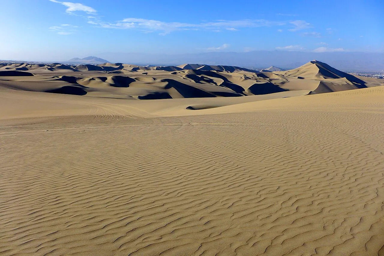 Um campo de dunas de areia com ondulações feitas pelo vento em primeiro plano e cristas sombreadas até o horizonte, sob céu azul.