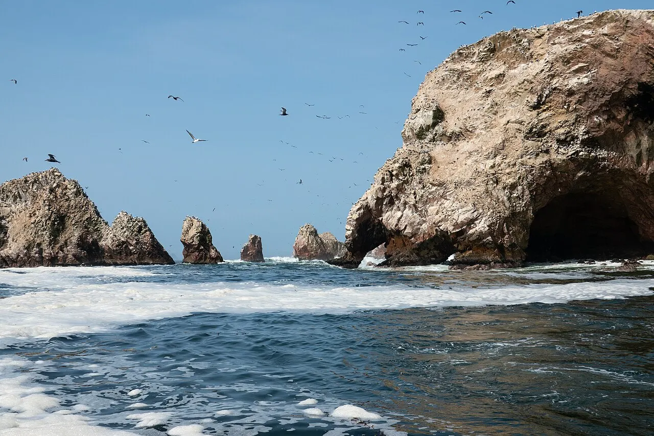 Rochedos claros cobertos de guano saindo do mar, um deles com uma gruta na base, e bandos de aves voando no céu azul.