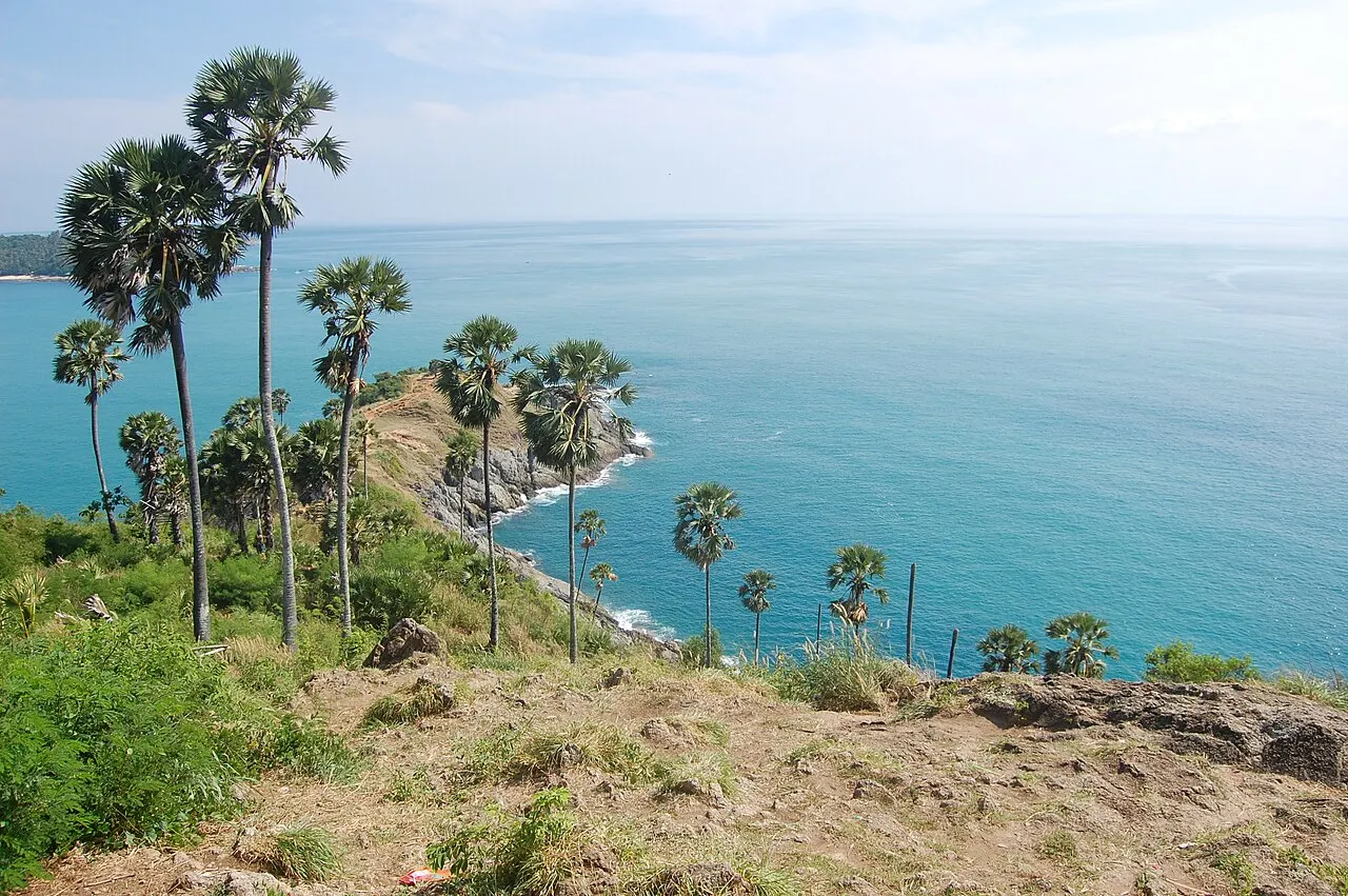 Le cap Phromthep avec de hauts palmiers descendant jusqu'à la pointe rocheuse, entouré de mer turquoise sous un ciel pâle.