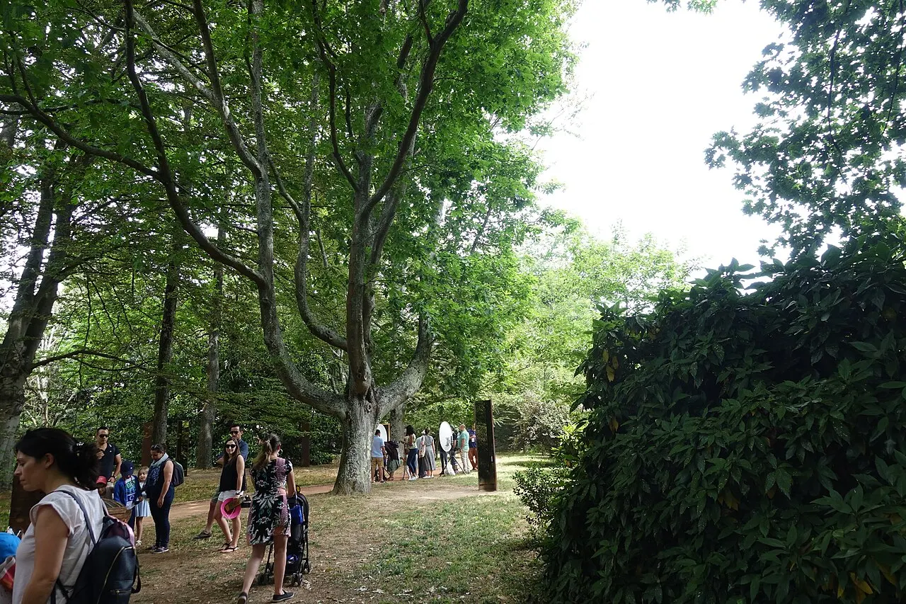 Visitantes caminhando por uma trilha sob árvores altas nos jardins da Fundação de Serralves.