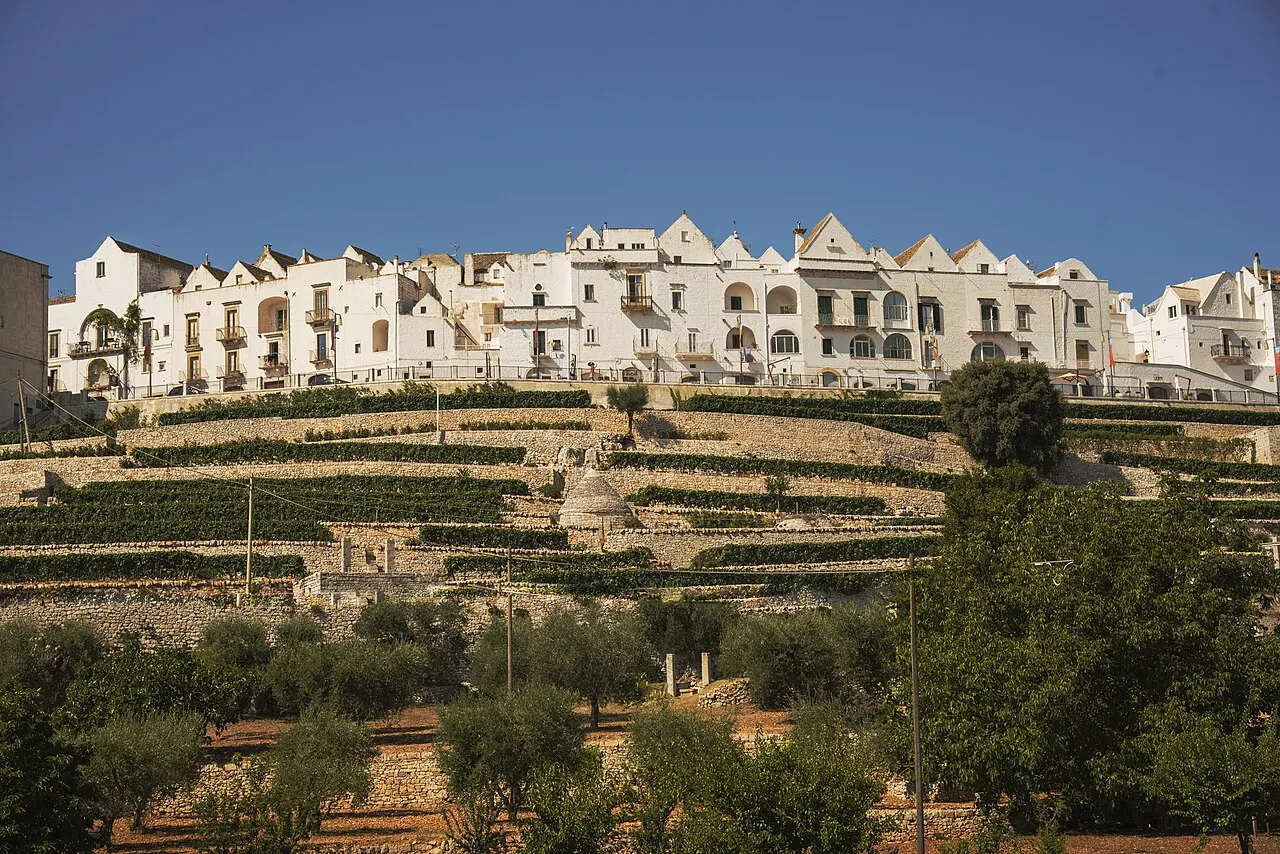 As casas brancas de telhados pontudos de Locorotondo enfileiradas no alto da colina, sobre terraços de vinhedos e oliveiras.