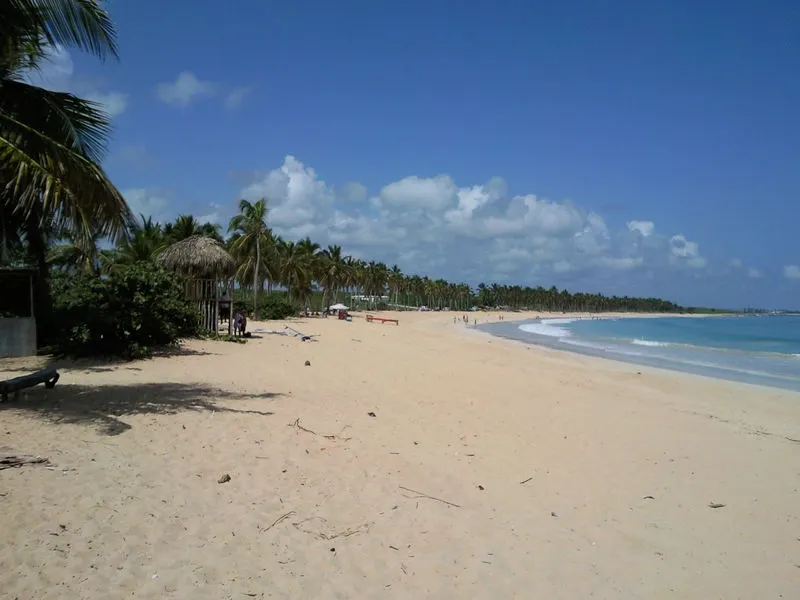 A Playa Macao, uma faixa larga de areia clara quase vazia, com coqueiros e quiosques de palha à esquerda e o mar verde-azulado à direita.
