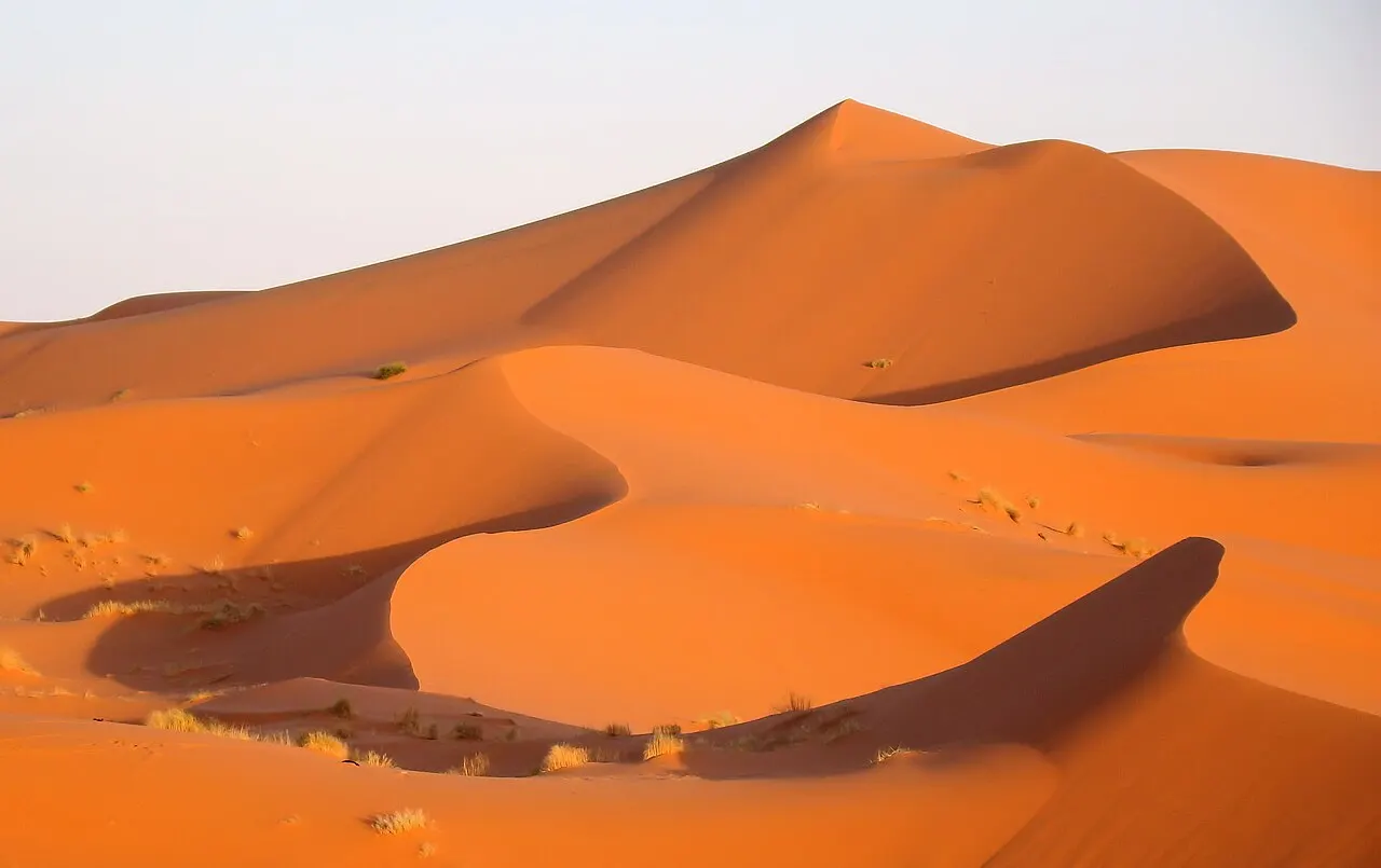 Dunas de areia alaranjada do Erg Chebbi, com cristas onduladas e sombras marcadas, tufos de vegetação seca no primeiro plano, sob luz baixa.