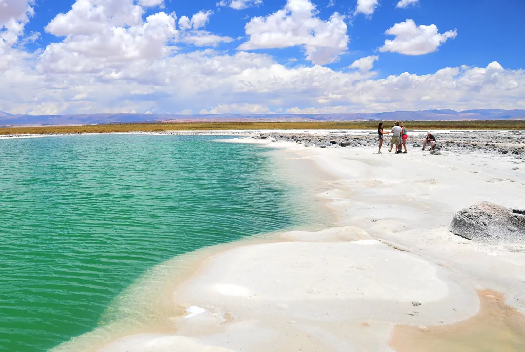 A Laguna Cejar, com água verde-esmeralda, margem branca de sal, poucas pessoas ao longe e nuvens brancas no céu azul.