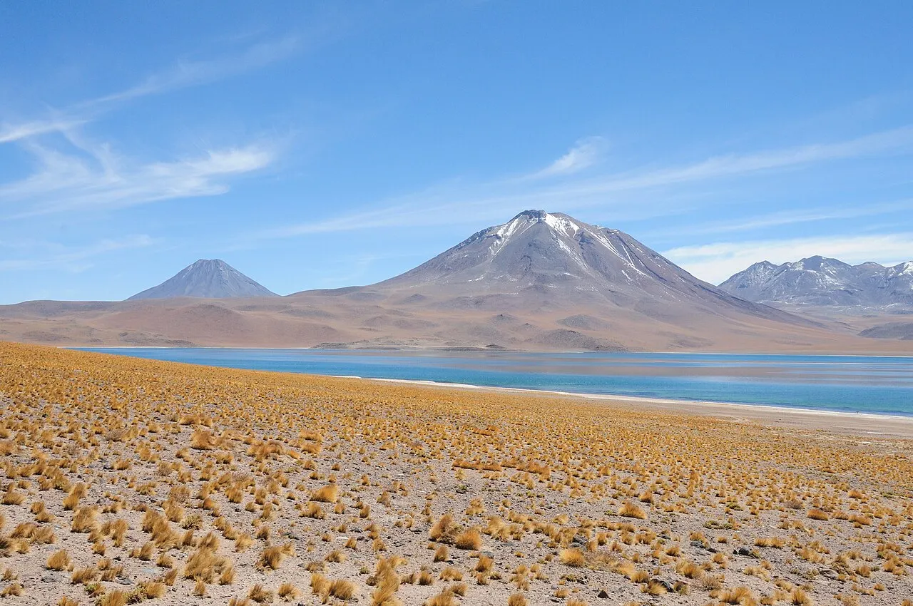 A Laguna Miscanti, de água azul, ao pé de um vulcão de cume nevado, com capim dourado do altiplano em primeiro plano e céu azul com nuvens finas.