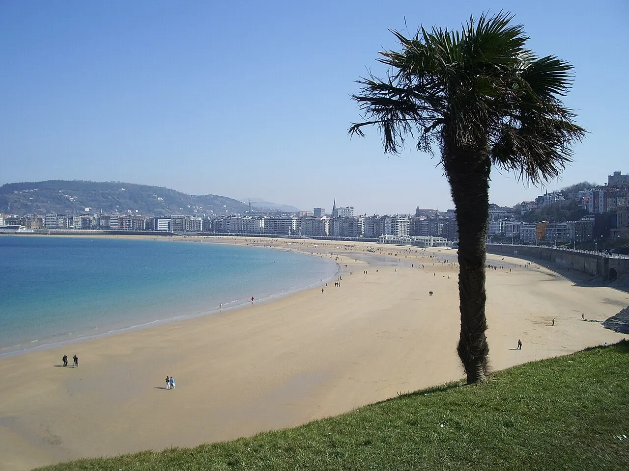 A curva de areia da praia da Concha vista do alto, com água azul-clara, uma palmeira em primeiro plano e a cidade ao fundo.