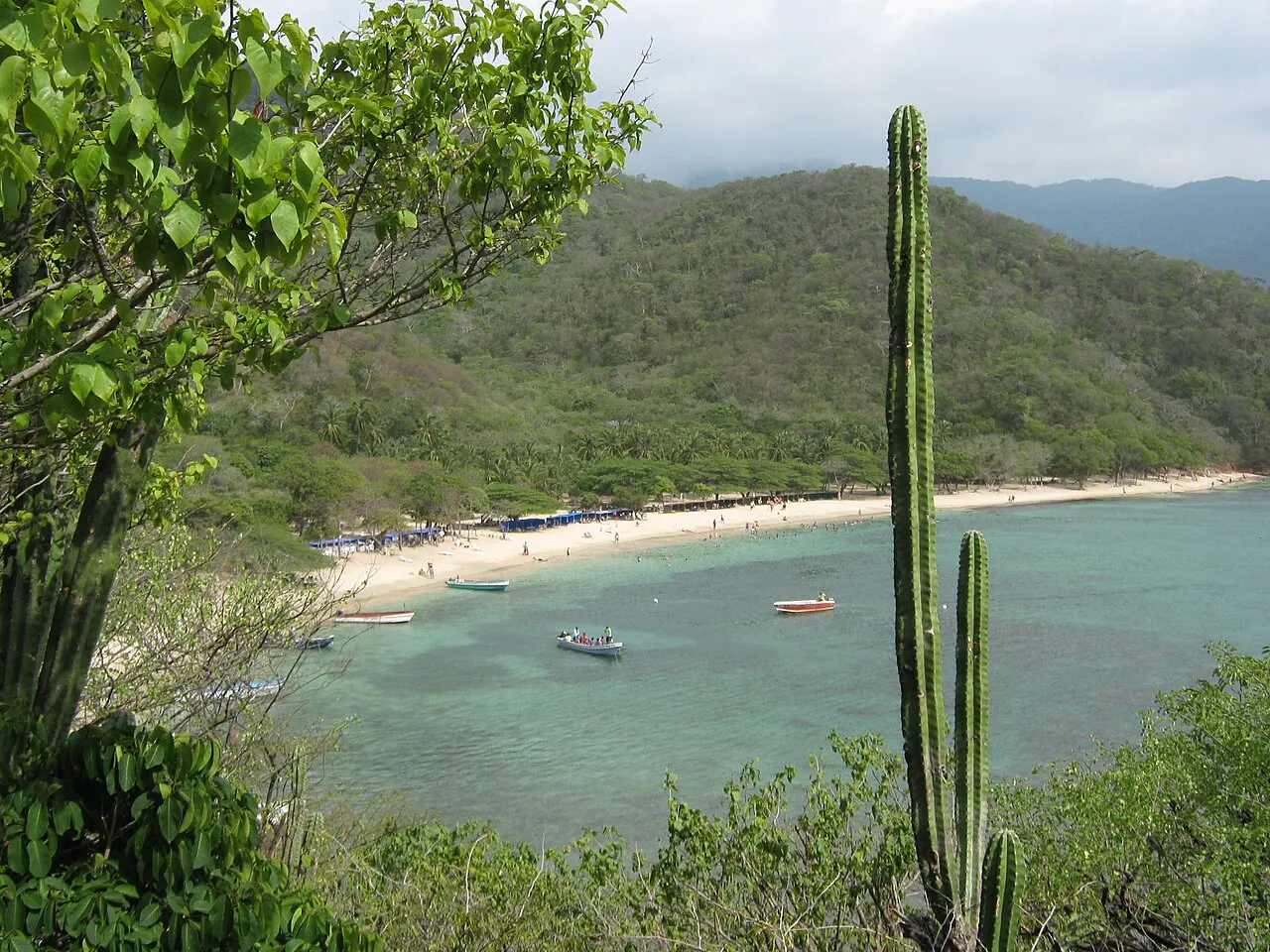 Enseada de água verde-clara com barcos ancorados e uma faixa de areia branca ao pé de morros cobertos de mata, vista do alto entre um cacto e folhagem.