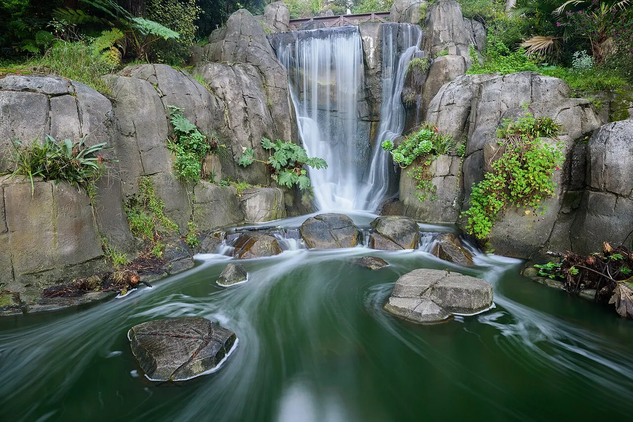 Cascata caindo por paredes de rocha cobertas de samambaias e suculentas até um lago verde e calmo, com pedras chatas emergindo da água, no Golden Gate Park.