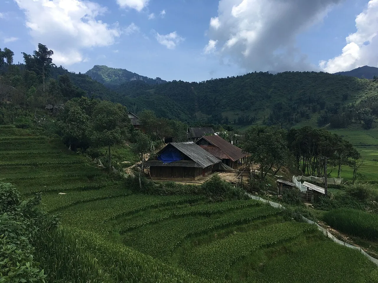 Wooden houses with dark roofs among green rice terraces in Tả Phìn, with trees, forested hills and clouds behind.