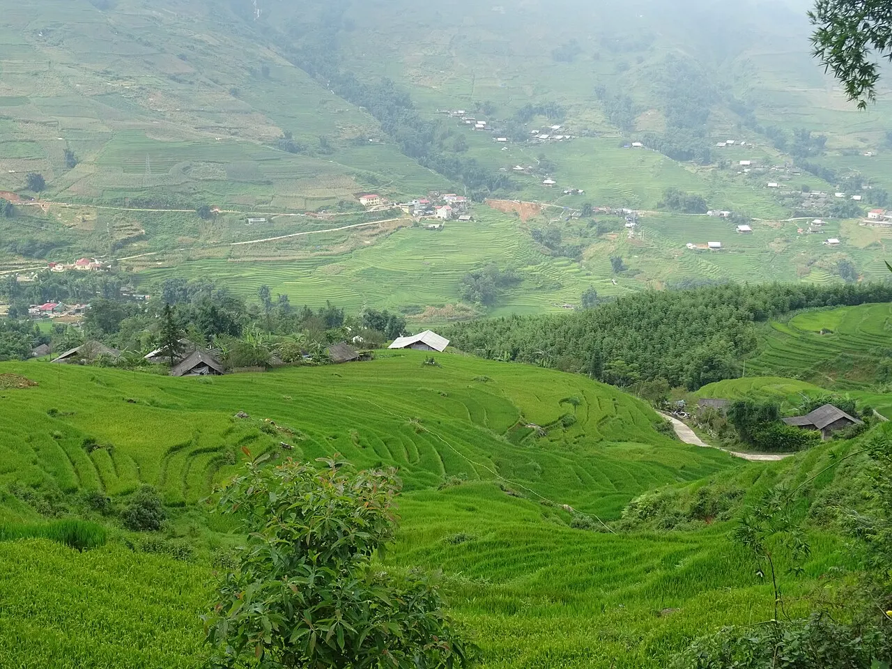 Slopes of the Mường Hoa valley covered in green rice terraces, with scattered houses, a dirt road and mist over the mountain.