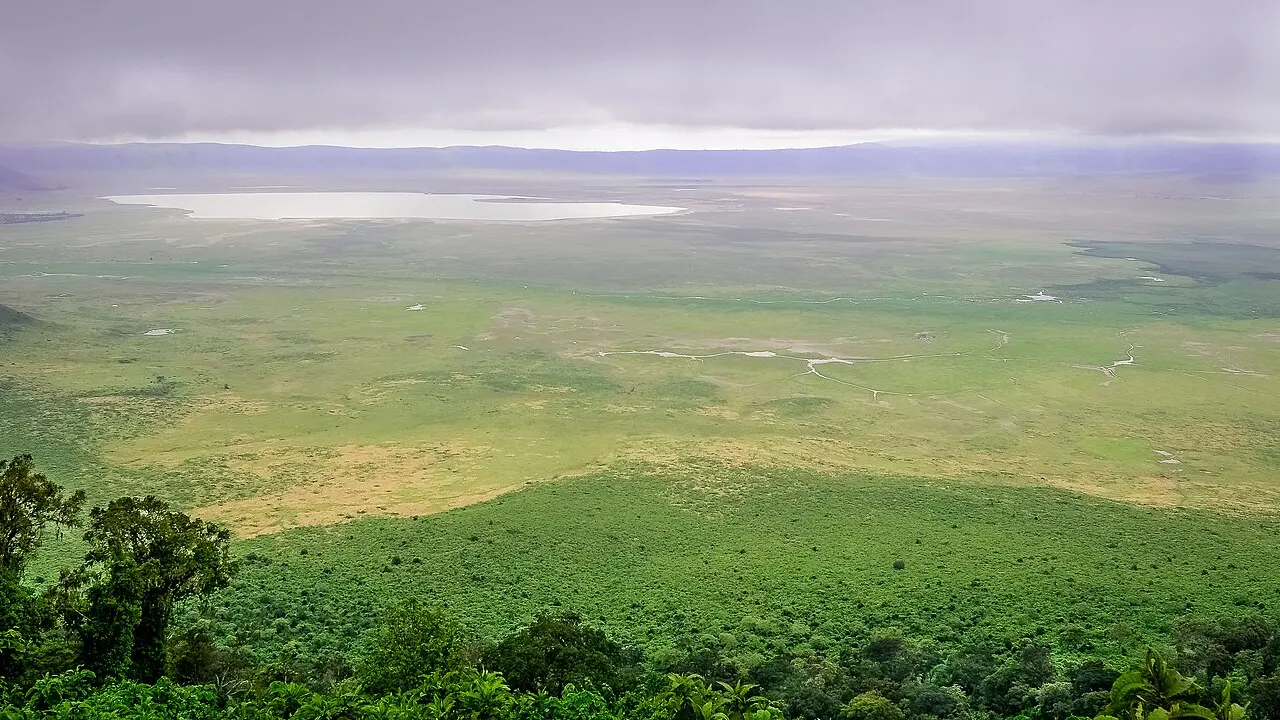 Vista do alto da borda da cratera: a encosta coberta de mata desce até um fundo plano e verde de pastagem, com um lago claro ao longe e as paredes da caldeira sob nuvens baixas.