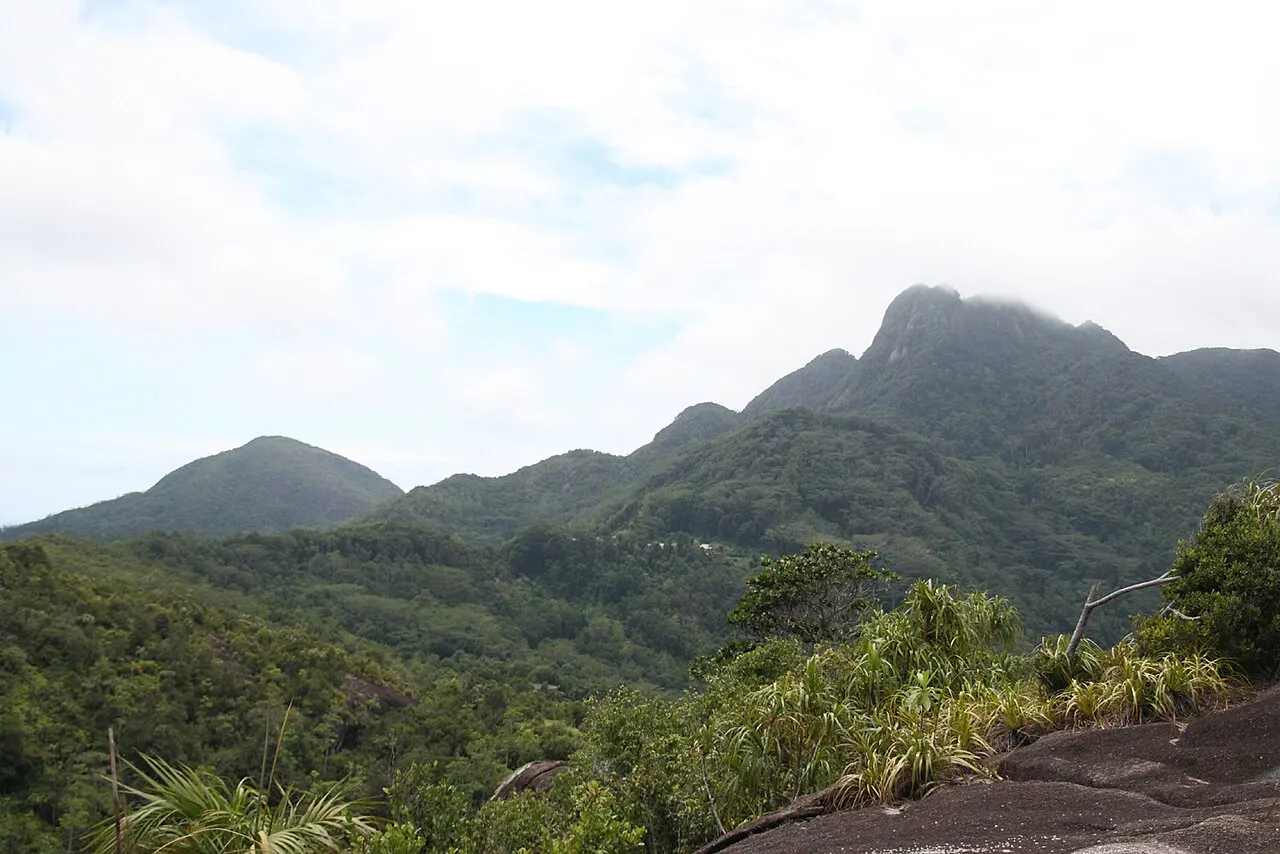 Des montagnes couvertes de forêt, le plus haut sommet dans les nuages et une dalle de granit au premier plan.
