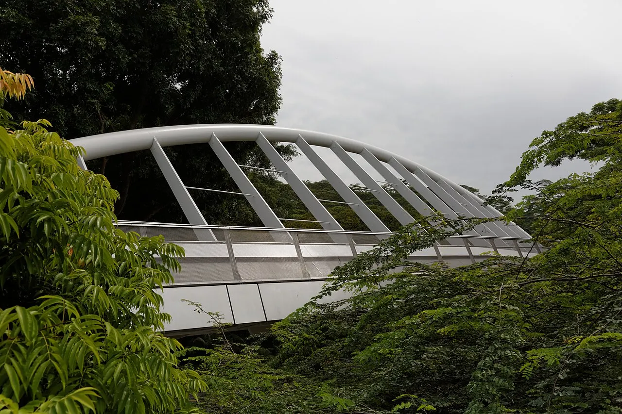 Ponte de pedestres curva com nervuras de madeira clara, entre a vegetação, sob céu nublado.