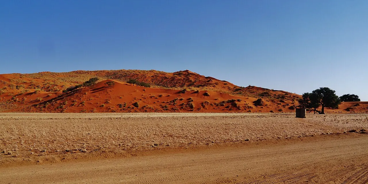 A Elim Dune, uma elevação de areia vermelha com tufos de capim e arbustos, vista de uma estrada de terra, com uma planície de capim seco no meio e árvores à direita.