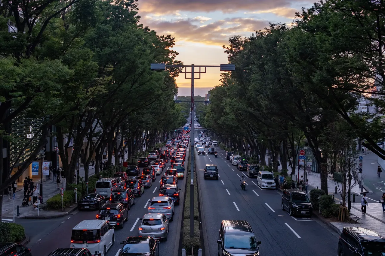 Avenida arborizada vista do alto, com carros e luz do entardecer.