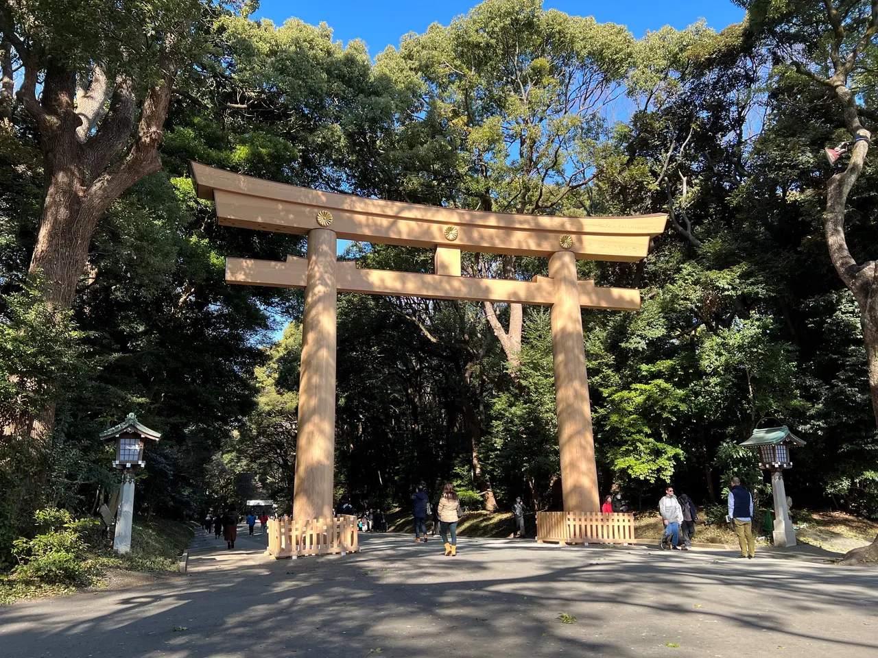 Torii de madeira do Meiji Jingū entre árvores.