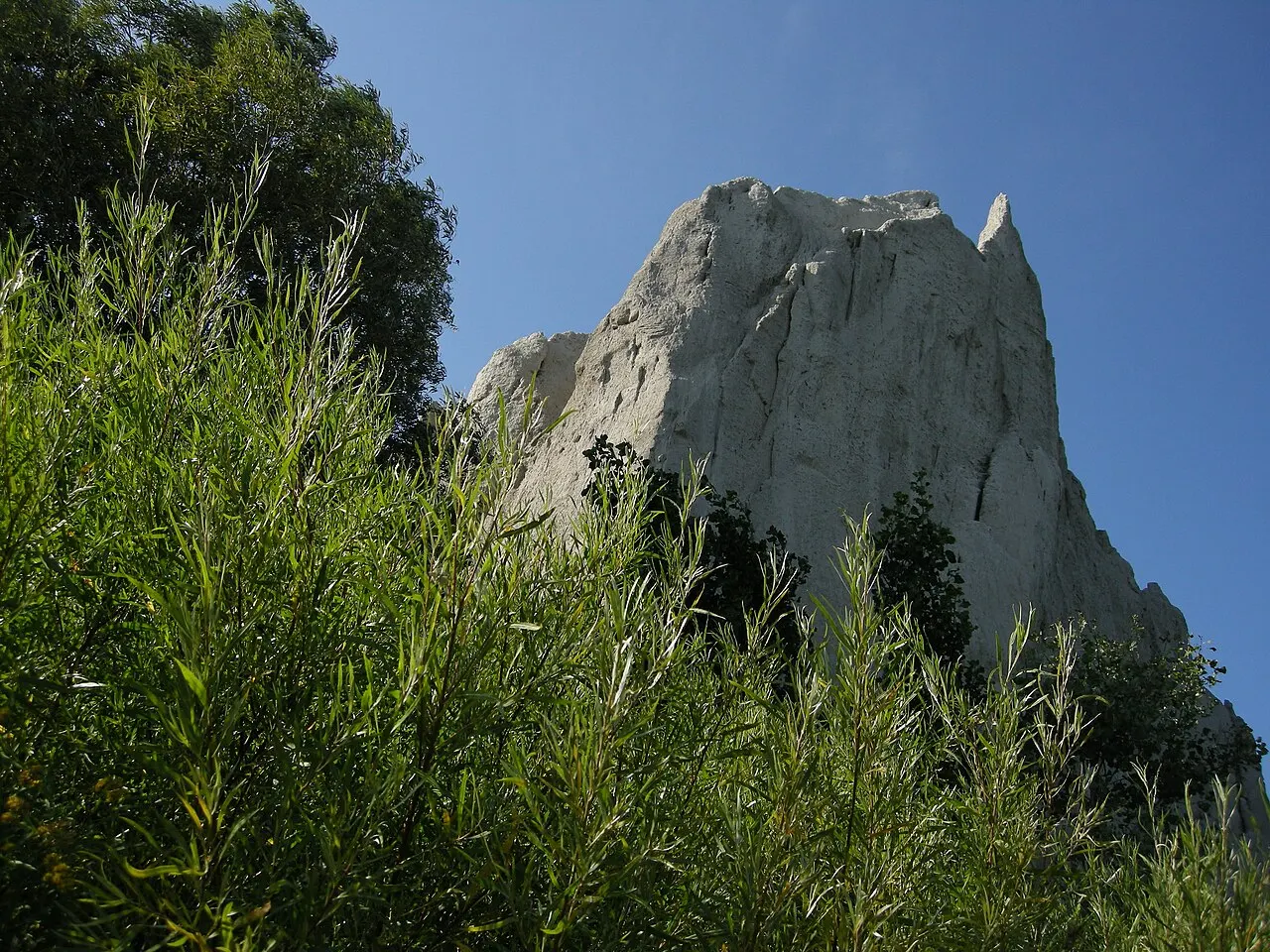 Paredão claro de argila e areia das Scarborough Bluffs, em Toronto, com vegetação no pé e céu azul.