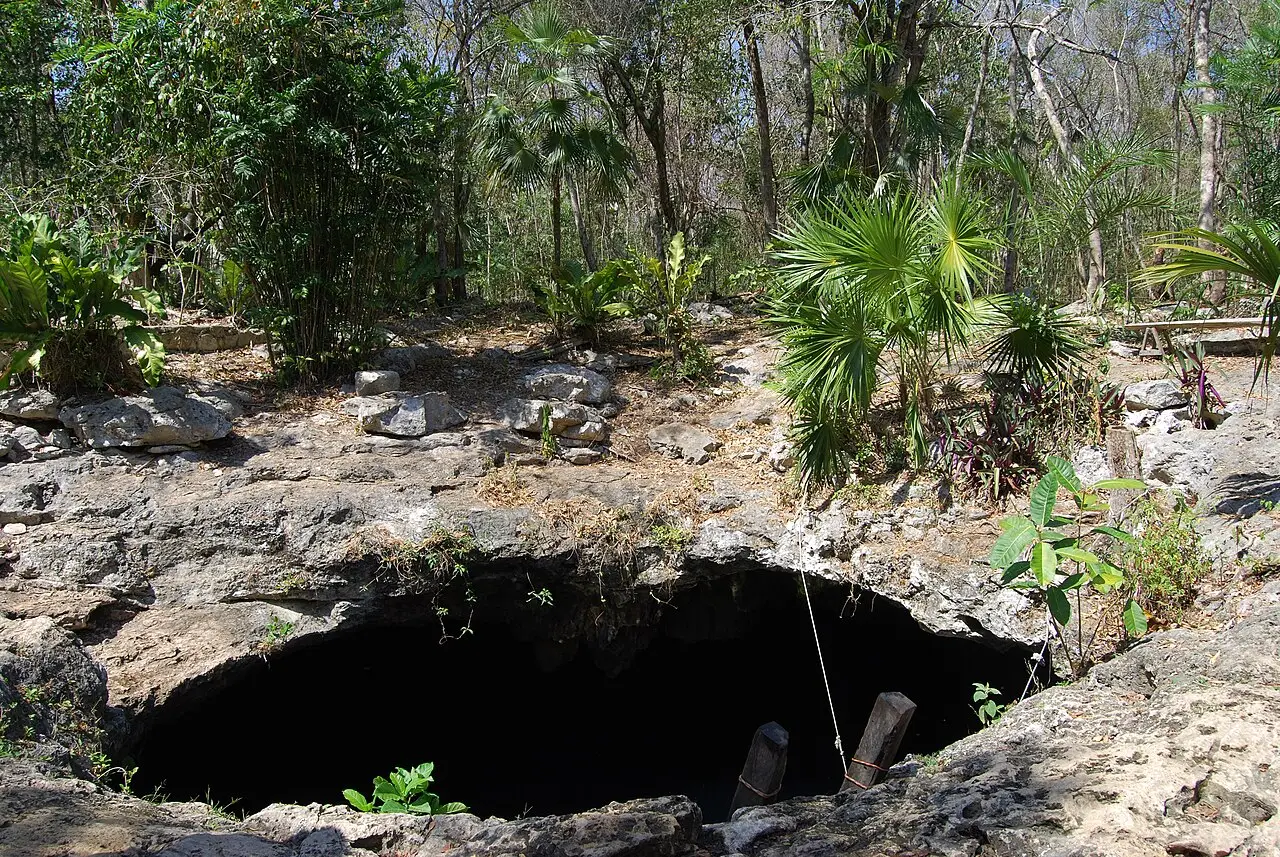 Abertura escura e arredondada do cenote Calavera na rocha calcária, com uma corda descendo para dentro e mata de palmeiras em volta.