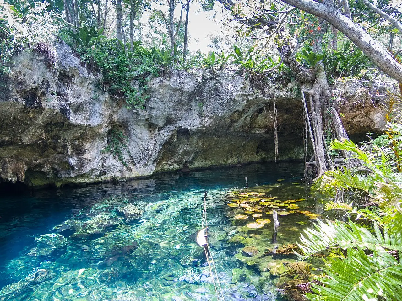 Piscina de água turquesa transparente sob um teto de rocha calcária, com raízes de árvores penduradas, folhas de lírio-d'água flutuando e vegetação densa ao redor.
