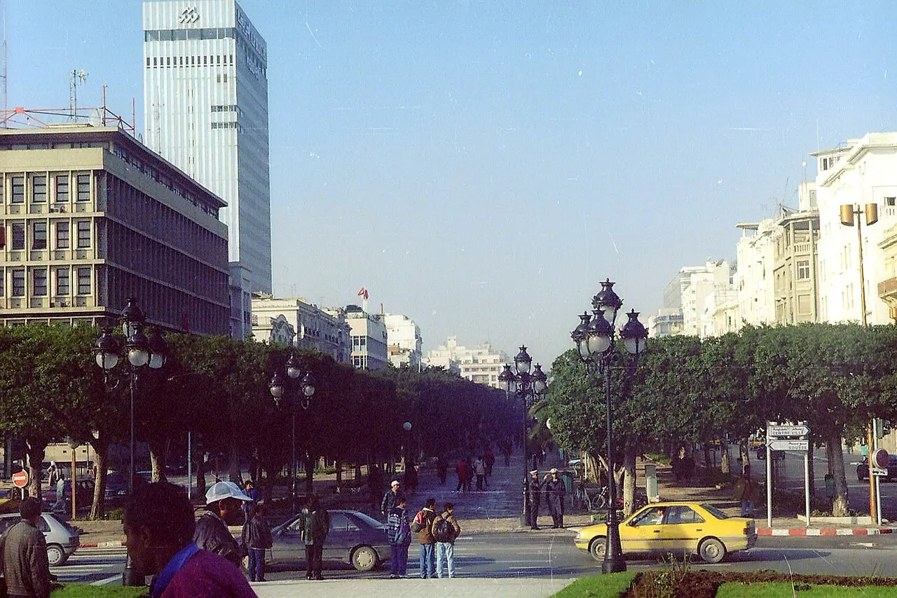 Avenida Habib Bourguiba, con árboles, farolas, coches y un edificio alto de vidrio al fondo.