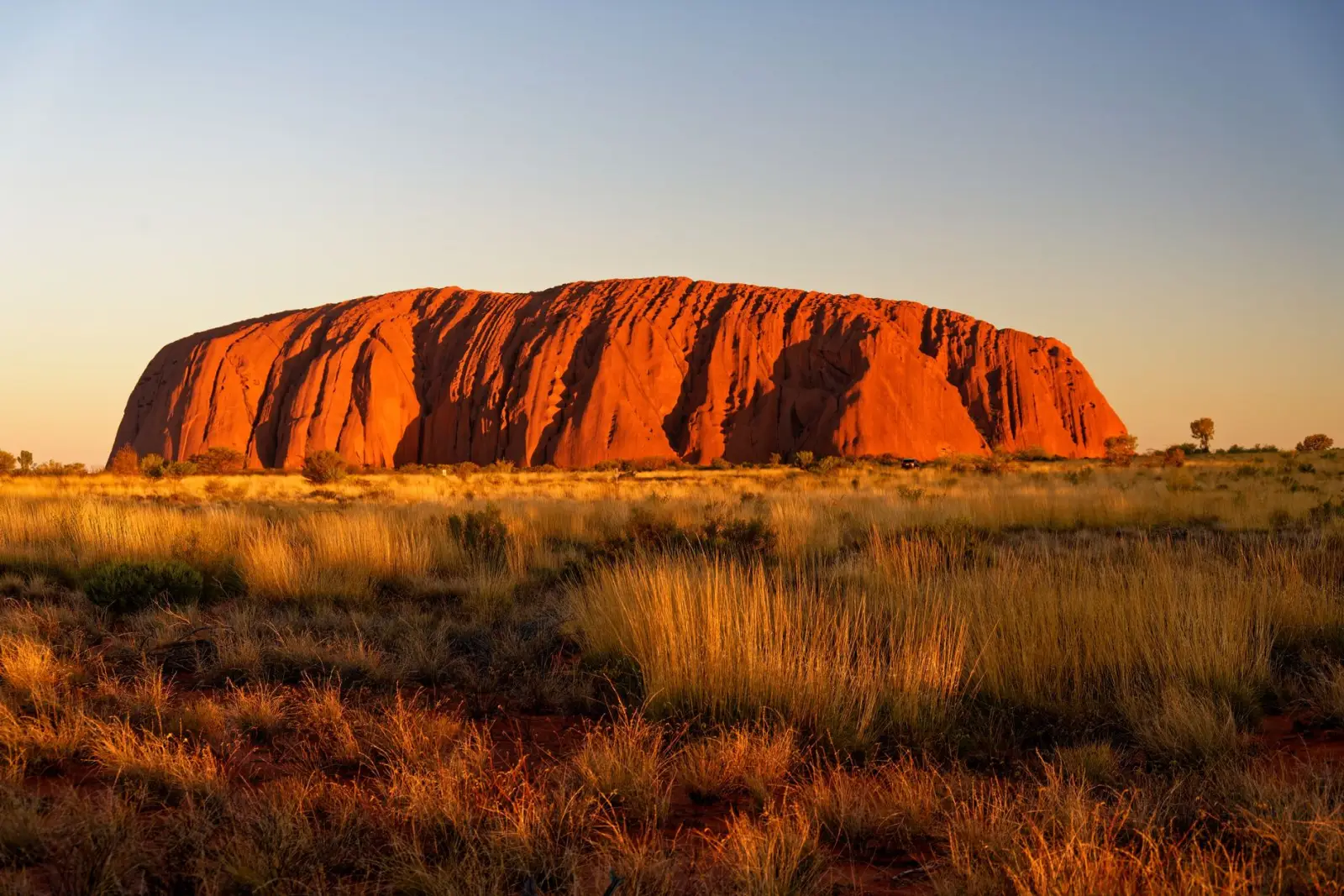 O monólito de Uluru aceso em laranja pela luz rasante, com as ranhuras verticais da rocha marcadas em sombra, sobre uma planície de capim dourado e arbustos baixos, sob um céu limpo que passa do azul ao âmbar.