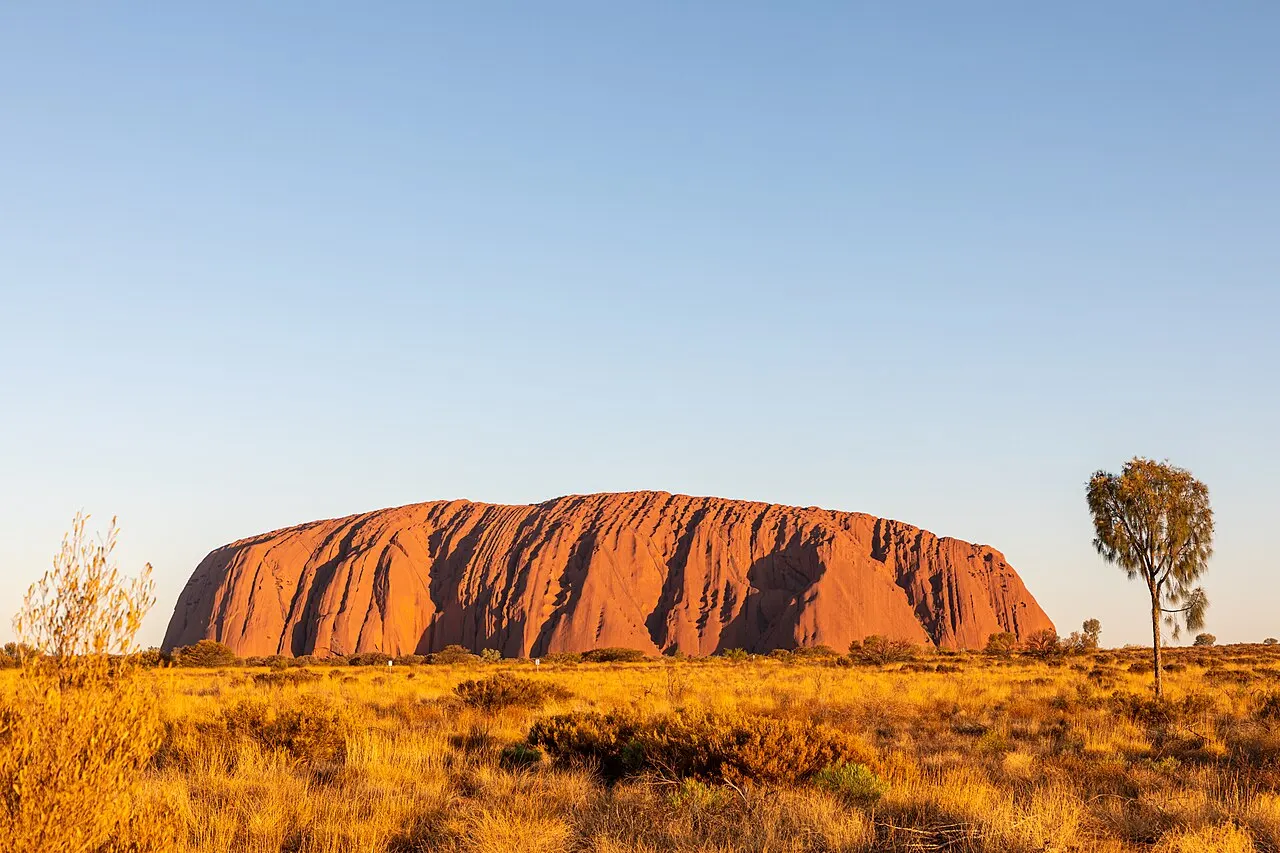 A grande rocha avermelhada de Uluru se destaca sob a luz dourada do pôr do sol, cercada por um campo de arbustos secos e uma árvore solitária ao lado.