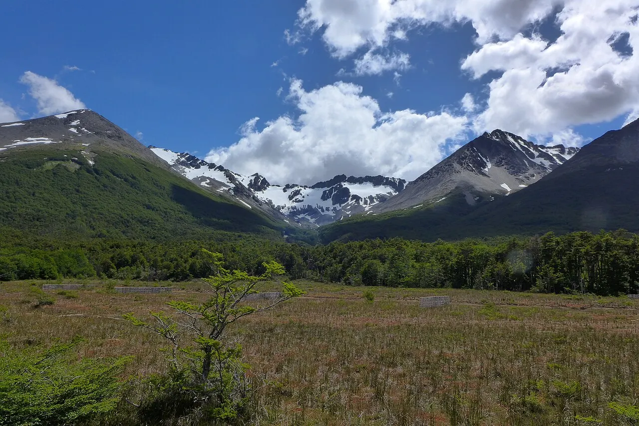 O circo rochoso do glaciar Martial com manchas de neve entre os picos, acima de uma encosta coberta de lenga verde e de uma turfeira aberta em primeiro plano, sob céu azul com nuvens altas.