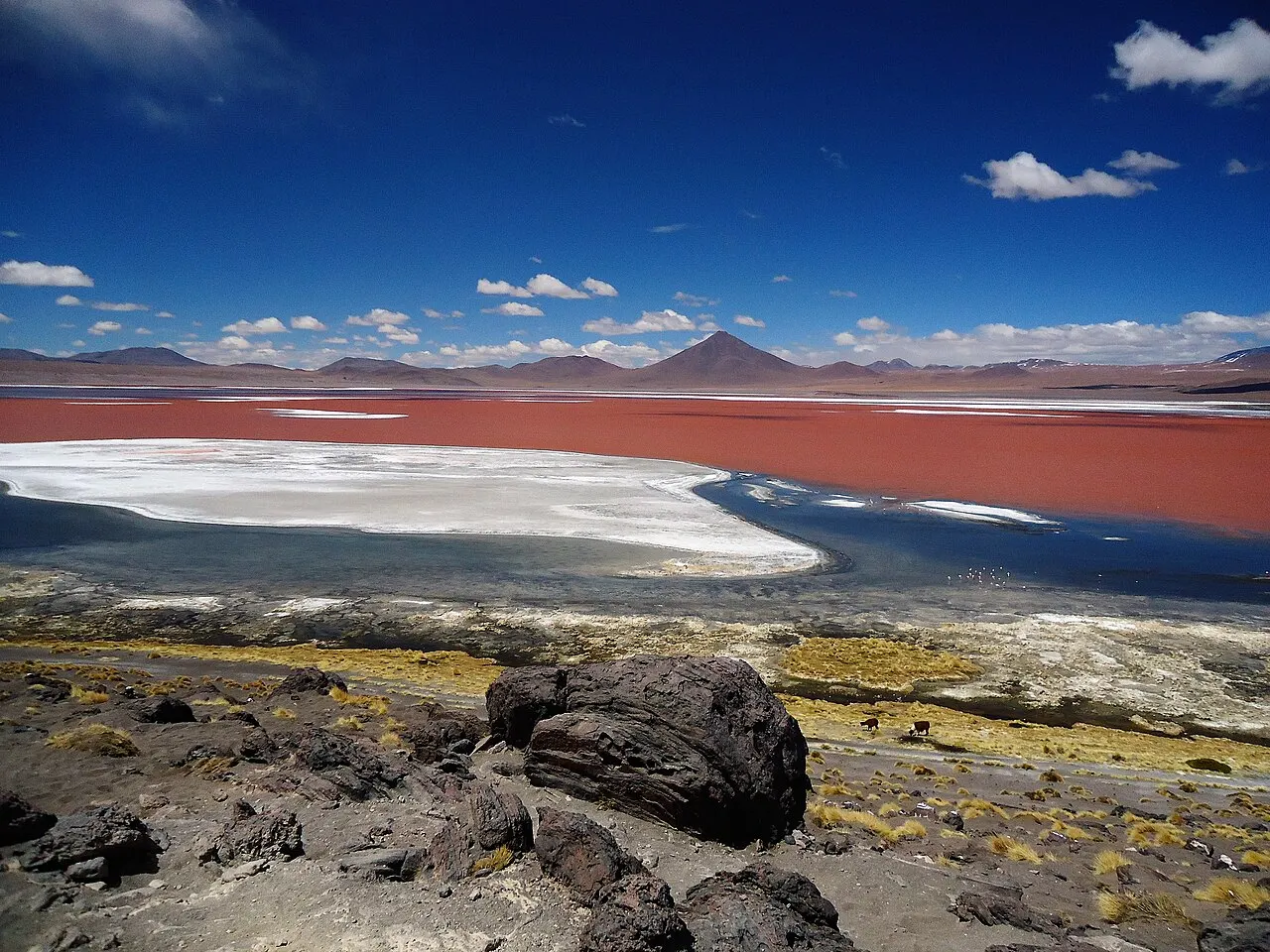 A Laguna Colorada, com água avermelhada, margem de sal branco, rochas em primeiro plano e montanhas ao longe.
