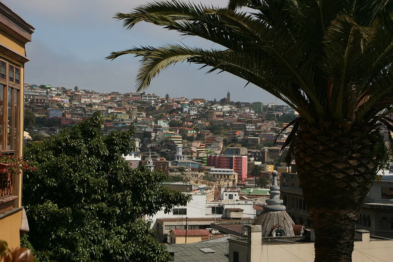 Colina coberta de casas coloridas em Valparaíso, vista por trás de uma folha de palmeira em primeiro plano, sob céu nublado.
