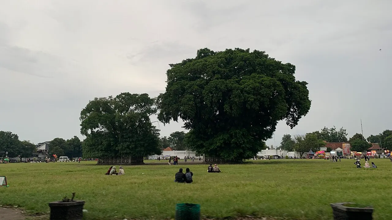 Gramado amplo com duas grandes figueiras no centro, pessoas sentadas na grama, barracas ao fundo e céu nublado.