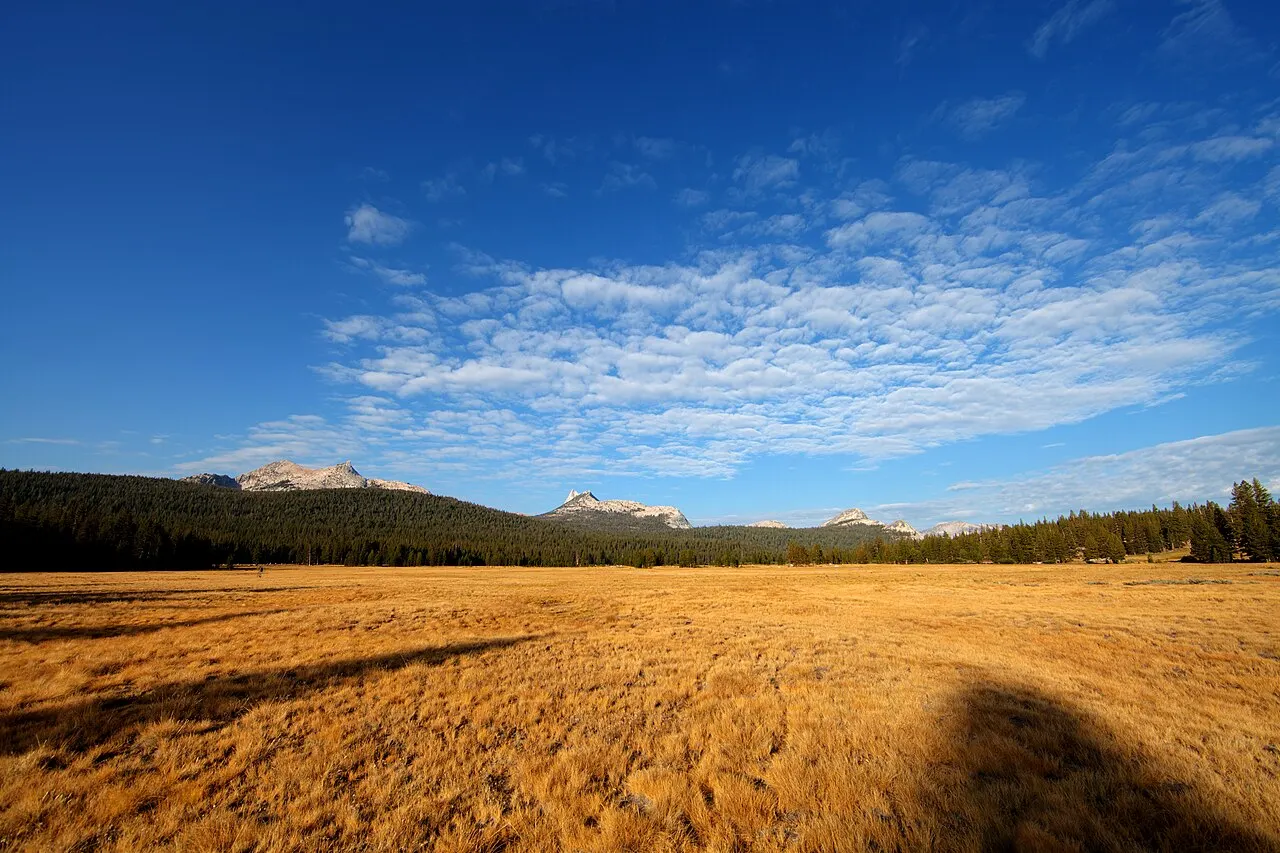 Um prado amplo de capim dourado, cercado de floresta e picos de granito, sob céu azul com nuvens.