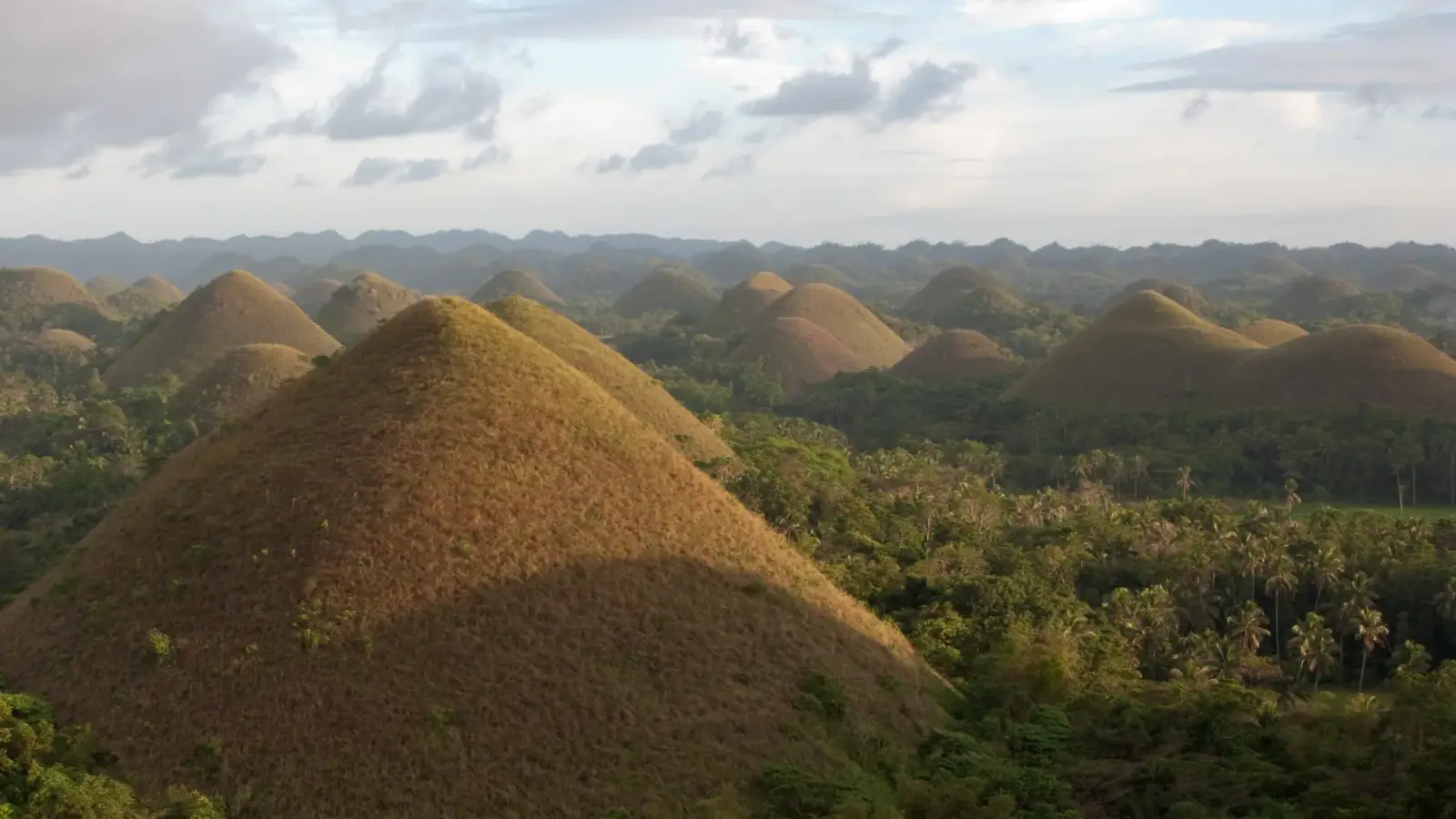 Las Chocolate Hills, en Bohol: una colina cónica cubierta de hierba seca al frente, iluminada por el sol bajo, y decenas de otras repartidas entre la selva y los cocoteros hasta el horizonte.