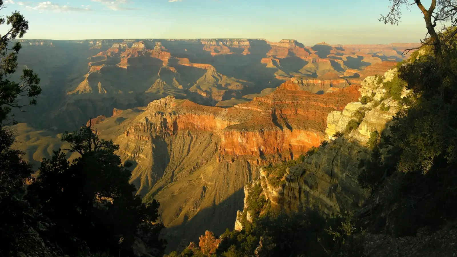 O Grand Canyon visto da borda sul no fim da tarde, com os paredões em camadas iluminados de laranja e árvores na beira em primeiro plano.
