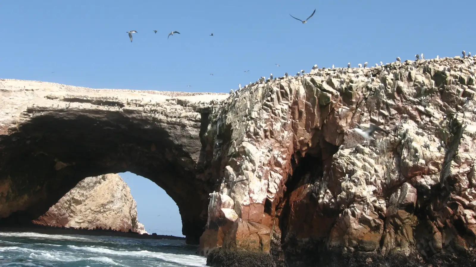 Um arco de rocha das Ilhas Ballestas sobre o mar agitado, com aves marinhas pousadas na crista e outras voando no céu azul.