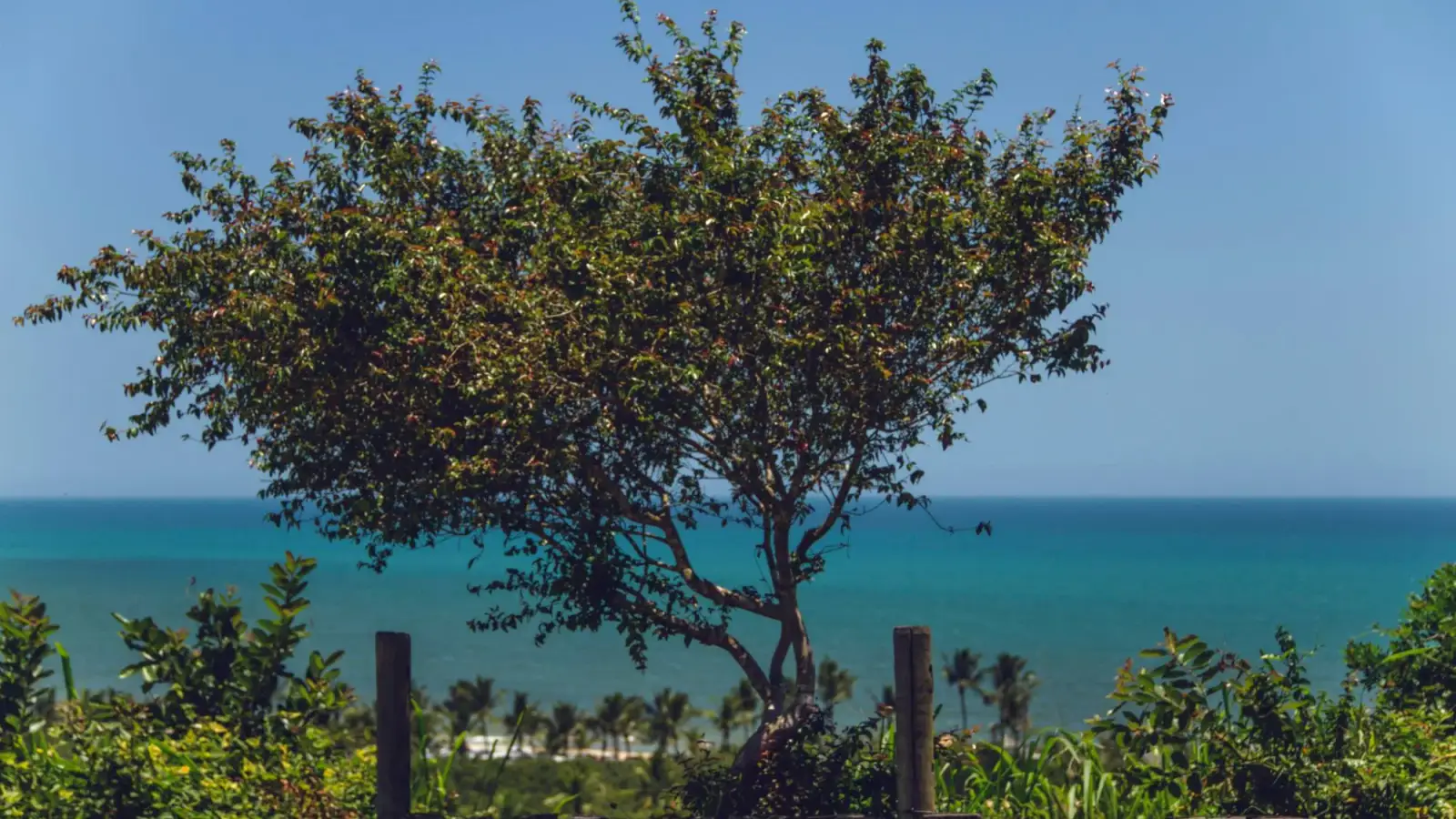Quadrado de Trancoso