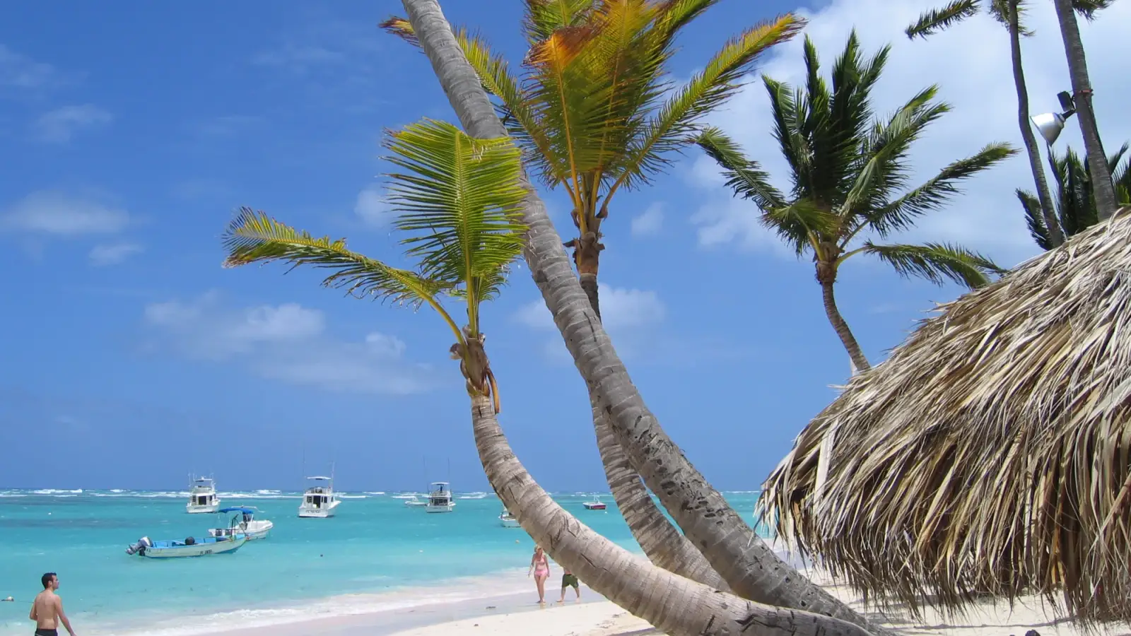 Playa El Cortecito