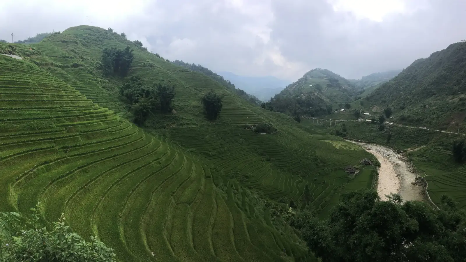Green curving rice terraces on a slope of the Mường Hoa Valley at Lao Chải, with the pale riverbed and cloud-covered mountains behind